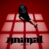 Chart track