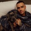 Mas detalles sobre el fallecimiento de Liam Payne ¿Qué dijo el encargado del hotel en su llamada al 911?