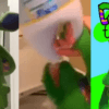 ‘Doofy The Dragon’: el peligroso canal de YouTube Kids que incita a los niños a autolesionarse