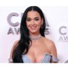 Katy Perry estuvo a punto de electrocutarse durante una firma de autógrafos