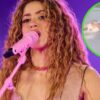 Relacionan a Shakira con la muerte de más de 100 gatos en Colombia