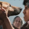 La película boliviana “El ladrón de Perros” se llevó el premio platino