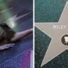 La cantante Miley Cyrus recibirá su estrella en el Paseo de la Fama en Hollywood