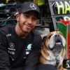 “Tuve que tomar la decisión más difícil de mi vida”: Lewis Hamilton se despide de su mascota Roscoe