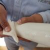 Tigre Bolivia advierte sobre productos falsificados: ¿Cómo identificar tuberías y cables originales?