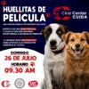 Cine Center Cuida convierte una función de cine en una oportunidad para ayudar a perros rescatados
