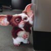 Warner Bros. ha pospuesto el lanzamiento de Gremlins 3, fijando una nueva fecha para el esperado retorno de Gizmo a las salas de cine.